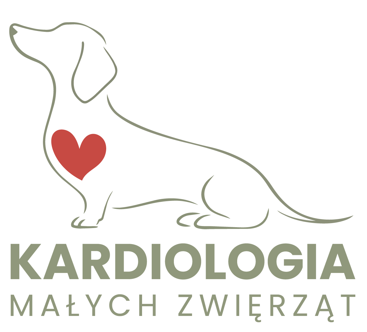 Test Laboix — kardiologia małych zwierząt